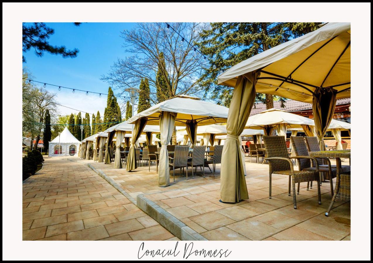 ホテル Conacul Domnesc Scheia エクステリア 写真