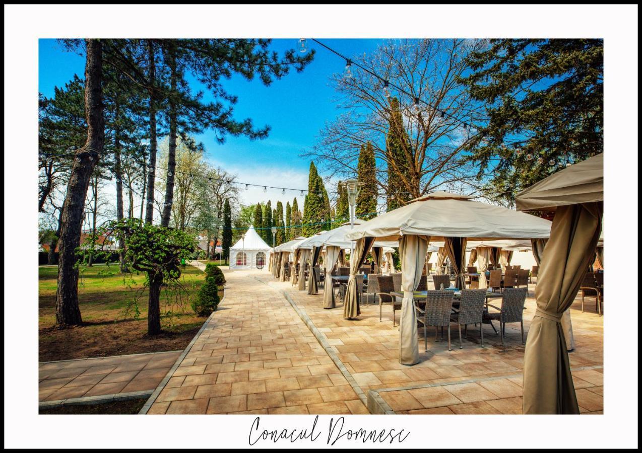 ホテル Conacul Domnesc Scheia エクステリア 写真